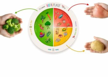Guía nutriplato regalo de Nestlé para una alimentación sana y variada de tus hijos