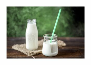 Los efectos positivos del yogur en nuestra flora intestinal