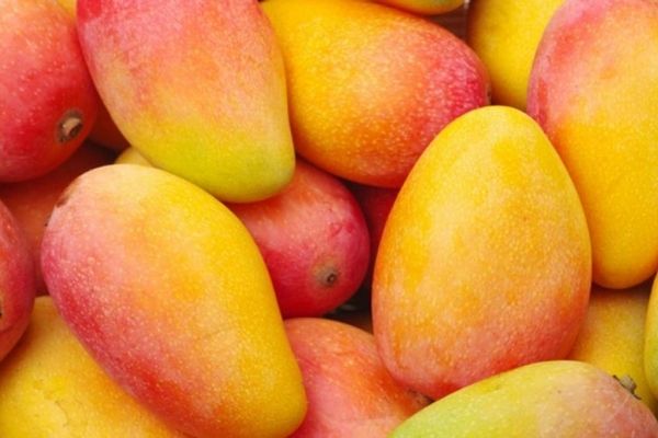 La original fruta antioxidante que triunfa en Mercadona es española