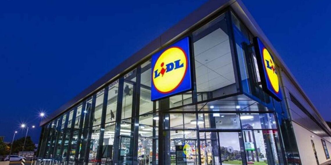 Lidl nos ofrece la freidora de aire que arrasa en ventas