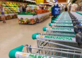 Mercadona arrasa con una fruta tropical española que no engorda