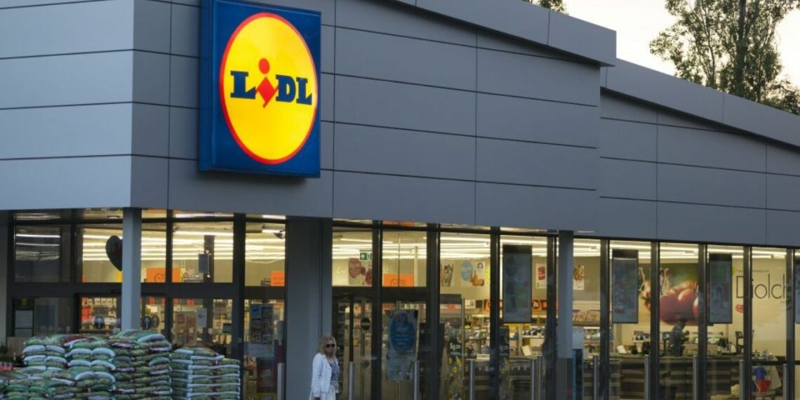 El artilugio de Lidl con el que podrás llevar a tu perro contigo en la bici