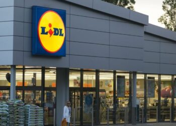 El artilugio de Lidl con el que podrás llevar a tu perro contigo en la bici