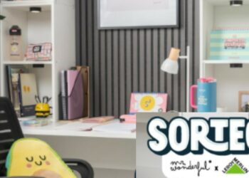 Sorteo zona de estudio y una tarjeta de regalo con Mr. Wonderful y Leroy Merlin