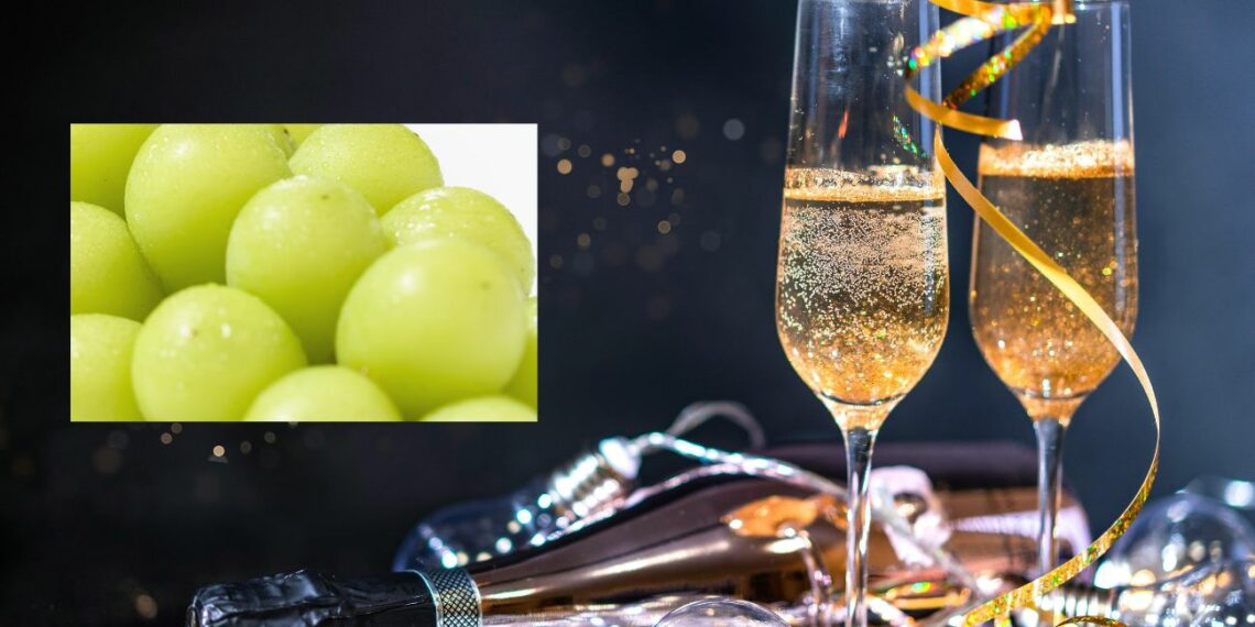 Por qué en España se comen 12 uvas a medianoche en Nochevieja