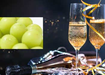 Por qué en España se comen 12 uvas a medianoche en Nochevieja