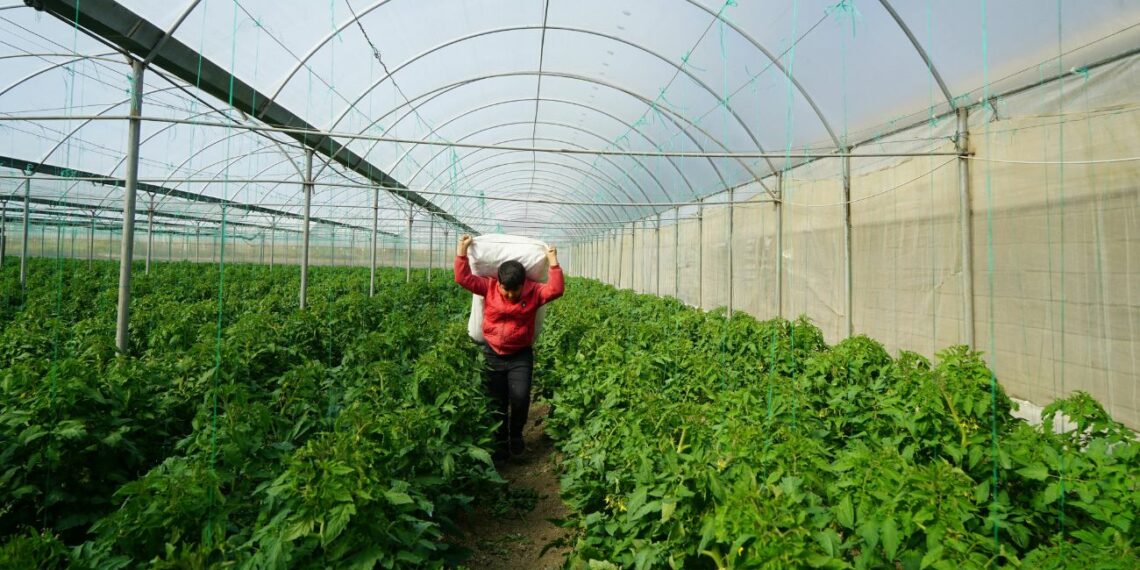 Más de un millón de latinoamericanos impulsan el empleo en España