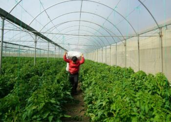 Más de un millón de latinoamericanos impulsan el empleo en España